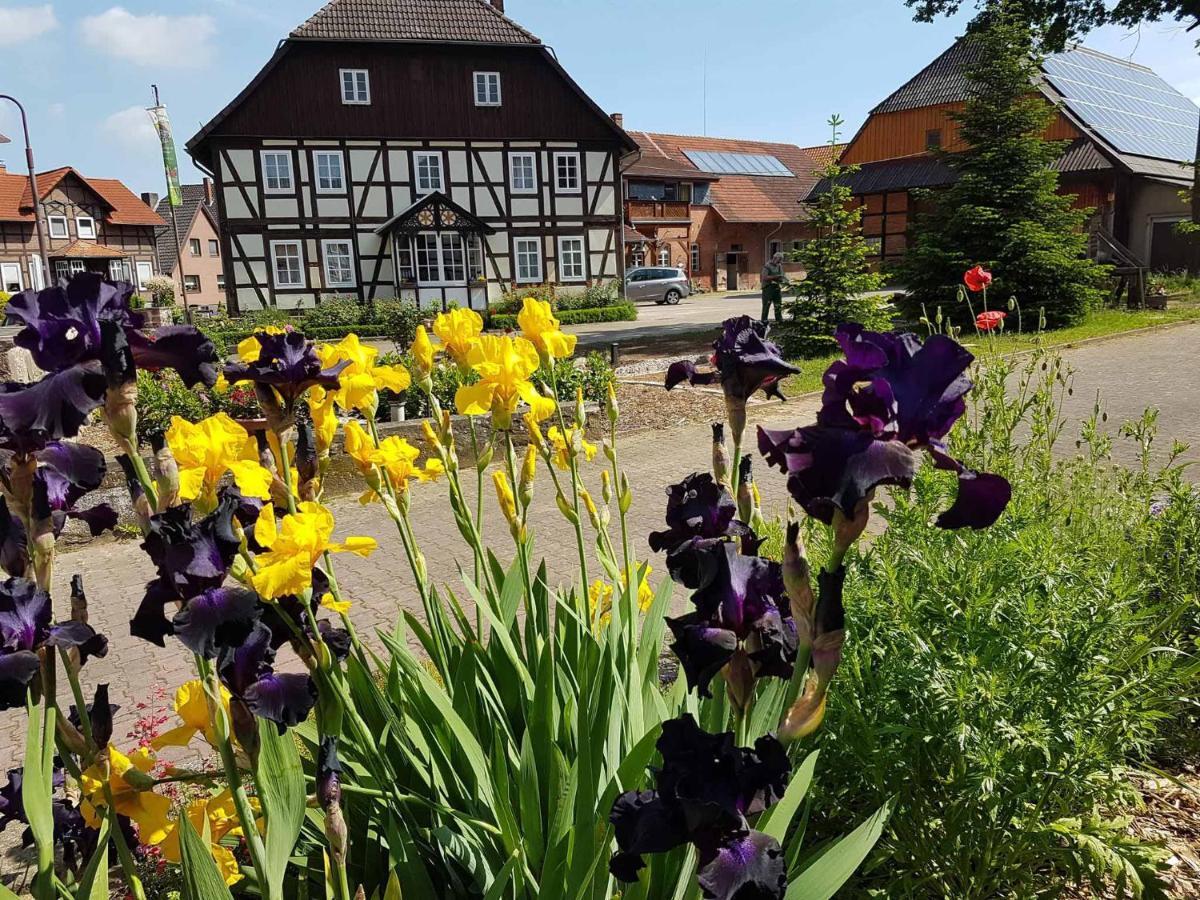 Muellers Hof Ferienwohnung/Pension Emmerthal Екстериор снимка